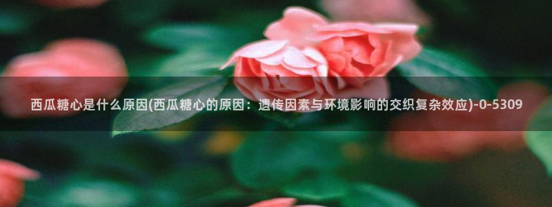 糖心vlog是一个怎么样的app：西瓜糖心是什么原因(西瓜糖心的原因：遗传因素与环境影响的交织复杂效应)