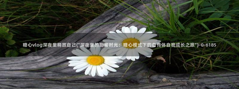糖心动漫vlog官网观看：糖心vlog深夜里释放自己(\