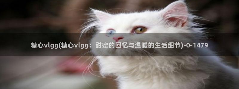 糖心vlog冉：糖心vlgg(糖心vlgg：甜蜜的回忆与温暖的生活细节)