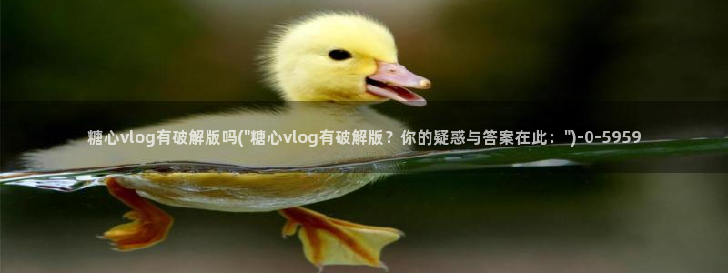 糖心vlog怎么发：糖心vlog有破解版吗(\