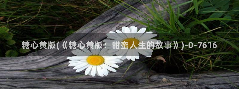 糖心vlog直接看：糖心黄版(《糖心黄版：甜蜜人生的故事》)