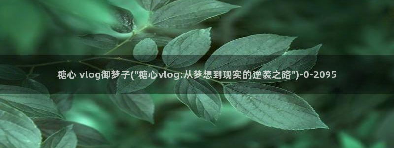 糖心vlog工作室：糖心 vlog御梦子(\